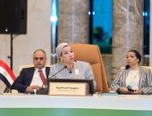 ياسمين فؤاد: الحفاظ على البيئة لم يعد ترفاً بل ضرورة ملحة
