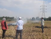 قيادات وزارة البيئة تواصل جولاتها الميدانية بمحافظات منظومة قش الأرز