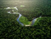 اكتشاف مستوطنة استعمارية مفقودة من القرن الثامن عشر تحت غابات الأمازون