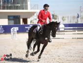مصر تستضيف البطولة الدولية لقفز الموانع بمشاركة 190 فارسًا