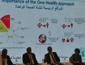 نائب وزير الصحة: إعلان خلو مصر من الملاريا مجرد بداية لجهود مواجهة الأمراض المعدية