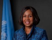 منسقة أممية بالسودان تدين هجمات الدعم السريع على ولاية الجزيرة