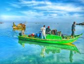 بحيرة البردويل كنز الثروة السمكية على ساحل البحر المتوسط.. مرافق حديثة لدعم الإنتاج وتطوير مراسى الصيد.. مشروعات جديدة أبرزها إنشاء 9900 حوض للاستزراع السمكى.. وتنفيذ برامج للحفاظ على التنوع البيئى.. صور