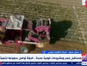 أستاذ اقتصاد: الدولة تعمل على تحقيق الأمن الغذائى من خلال المشروعات الزراعية