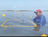 علماء الآثار يكتشفون أقدم مصانع الملح المعروفة في حضارة المايا القديمة