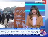 عضو الجمعية المصرية للاقتصاد: أسواق اليوم الواحد تساهم فى ضبط الأسعار