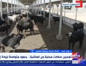 وليد ضياء: الدولة نفذت العديد من المشروعات لزيادة إنتاج الألبان واللحوم