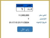 سعر لوحة "و ر د - 1" المميزة يصل لـ11 مليون جنيه و7 مزايدين يتنافسون عليها