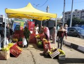 وزير التموين يعلن استمرار سوق اليوم الواحد بمدينة نصر أسبوعياً