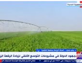 خبير: الممارسات الزراعية الجيدة تمكن الدولة من سد الفجوة الغذائية
