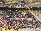 جماهير الزمالك تدعم محمد طارق عضو مجلس الإدارة فى مواجهة المصرى