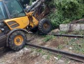 تيسير حركة ترام الإسكندرية بعد رفع شجرة سقطت بسبب شدة رياح النوة.. صور