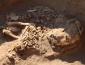 اكتشافات عالمية.. تميمة من القرن الخامس الميلادى تحمل صورة النبى سليمان.. لغز حفرة دفن عمرها 800 عام تحتوى على 123 جثة.. وأصول كنيسة القيامة فى القدس.. واكتشاف حطام سفينة غامضة عمرها قرون مغمورة فى النرويج