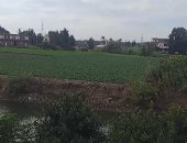 طقس مائل للبرودة نهارا بارد ليلا تعرف على درجات الحرارة بكفر الشيخ