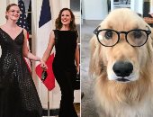 جينيفر جارنر محطمة القلب بسبب موت كلبتها "بيردى"