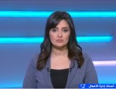 أيمن غنيم لـ "إكسترا نيوز": الاتحاد الأوروبى أكبر شريك تجارى لمصر.. فيديو