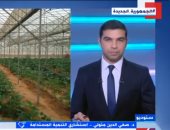 استشارى تنمية لـ إكسترا نيوز: الاستثمار الزراعى يحتاج إلى القطاع الخاص