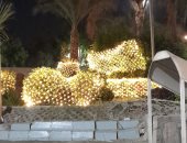 مدينة الأقصر تواصل أعمال تزيين الشوارع والميادين استعدادا لاحتفالات رأس السنة