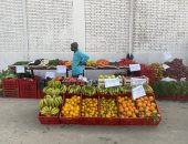 محافظة الجيزة تفتتح سوق اليوم الواحد بشارع مترو الساقية فى العمرانية.. صور