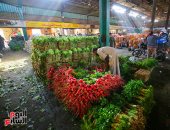 أسعار الخضروات بالمحلات والأسواق بمحافظة الأقصر اليوم السبت 18 أبريل 2026