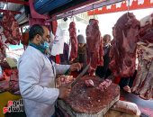 الطب البيطرى بسوهاج: حملات على محلات بيع اللحوم استعدادا لأعياد الميلاد