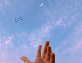 الثور والعذراء والقوس.. 3 أبراج هتحقق حلمها فى 12/12/2024