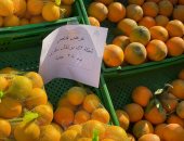 أسعار البرتقال واليوسفى اليوم الإثنين 16-12-2024 فى أسواق اليوم الواحد