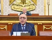 وحيد قرقر: الطرق والصحة والتصالح أولوية فى الفصل التشريعى الثالث