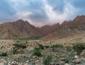 "علبه" عروس المحميات الطبيعية وأكبرها مساحة بالبحر الأحمر.. مقصدا مهما للطيور المهاجرة والحيوانات البرية النادرة.. تجمع بين التنوع الطبيعى والإنسانى ولكل العصور ذكرى بداخلها.. ومناطقها البحرية الأغنى بالشعاب 