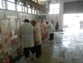 وزارة الزراعة: ذبح أكثر من 20 ألف أضحية بالمجازر الحكومية مجانا حتى الآن