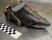 أدوات قياس وقباب خشبية داخل حفرة تعود للقرن الـ15 بهولندا.. ما قصتها