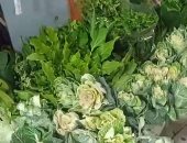 شاهد.. أجمل بوكيهات الورد بكفر الشيخ احتفالا بالعام الميلادي الجديد