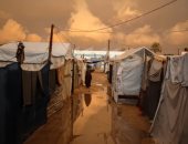 البرد القارس والقصف الاسرائيلى يفاقمان معاناة النازحين فى غزة.. غرق عشرات الخيام.. ناشط فلسطيني: ندعو الفريق المفاوض للقبول بأي هدنة لإنقاذنا من ويلات البرد والقصف.. انخفاض عدد سكان القطاع بمقدار 6% بنهاية 2024