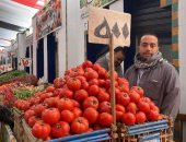 الطماطم بـ5 جنيهات.. تخفيضات على الخضراوات فى معرض محافظة الجيزة للسلع 