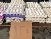معرض محافظة الجيزة فى حى جنوب يطرح كرتونة البيض البلدى بـ120 جنيهًا