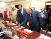 تفاصيل نجاح وزارة الزراعة فى استنباط 8 أصناف طماطم بإنتاجية 40 طناً للفدان