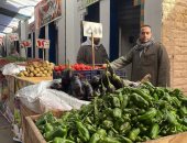 معرض محافظة الجيزة للسلع بحى جنوب يطرح الخضراوات بأسعار مخفضة