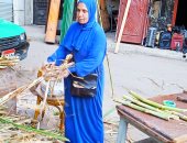حكاية أم فارس أشهر بائعة قصب فى البحيرة.. 25 عاما فى المهنة من أجل أسرتها.. وتؤكد: من صغرى فى الشغلانة ونفسى أعمل مشروع خاص بيا.. وعيد الغطاس شعبى مش دينى بس وببيع فيه القصب للمسلمين والأقباط