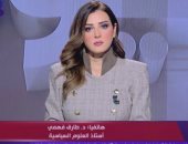 أستاذ علوم سياسية: التحرك المصرى مدروس ويطرح الرؤى الاستباقية فى التعامل مع تحديات الإقليم