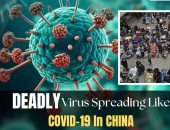 كلاكيت تانى مرة.. تفشى فيروس تنفسى جديد.. ميتا نيموHMPV أعراضه تشبه نزلات البرد وكورونا.. سعال وضيق تنفس وحمى.. الفيروس القاتل ينتقل بالعطس أوالكحة.. لا علاج للمرض.. وهذه أهم النصائح لتفادى العدوى