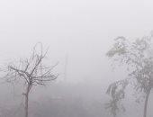 الطقس اليوم الخميس 9-1-2025 بالقليوبية.. شبورة كثيفة تغطى سماء المحافظة