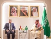 وزير الخارجية يطلع نظيره السعودي على جهود مصر لوقف فوري لإطلاق النار فى غزة