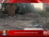 الزراعة تنفى قطع أشجار المتحف الزراعى: نهدف لتطويره وإعادة فتحه للجمهور