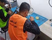 وزيرة التضامن تستعرض جهود صندوق مكافحة الإدمان لتدريب المتعافين على حرف مهنية