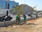 محافظ القاهرة: خطة علمية ومجتمعية لزيادة المسطحات الخضراء والحد من التلوث