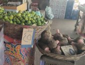 محافظة الجيزة تفتتح منفذا لبيع الخضراوات والفواكه للمواطنين بسعر الجملة