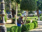 استمرار أعمال النظافة العامة وزراعة الأشجار بأسوان.. صور