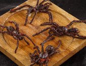 أغرب الأطعمة حول العالم.. من العناكب المقلية لشوربة بيض النمل وحليب الفرس