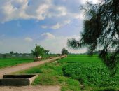 مصر حلوة فى عيون ولادها.. "عمر" يسجل جمال الريف المصرى بمحافظة البحيرة
