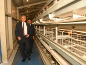 حلم تشغيل محطة إنتاج البيض بمحافظة الغربية يتحقق.. تنتج 70 مليون بيضة فى العام.. انتهاء أعمال التركيبات وتجهيز العنابر للتربية والإنتاج.. حجم الانتاج الشهري 8.5 مليون بيضة ويحقق الإكتفاء الذاتى.. صور